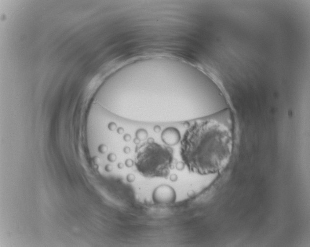 X0000065980145200603172124