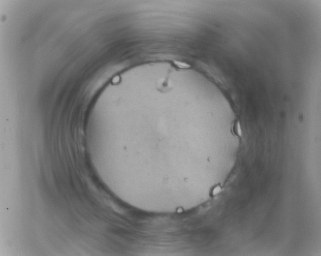 X0000065980146200603172124