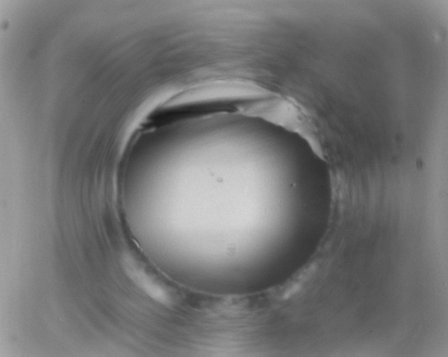 X0000065980148200603172124