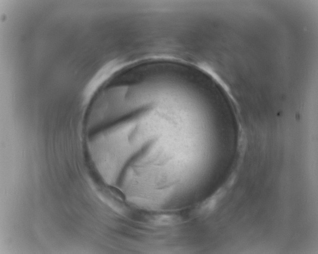 X0000065980151200603172124