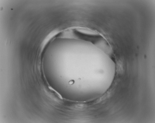 X0000065980152200603172124