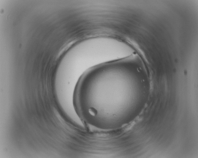 X0000065980154200603172124