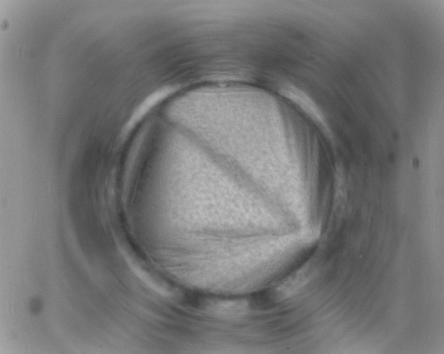 X0000065980155200603172124