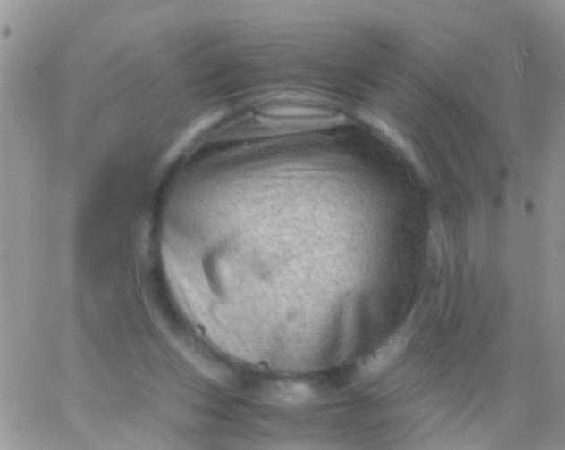 X0000065980159200603172124