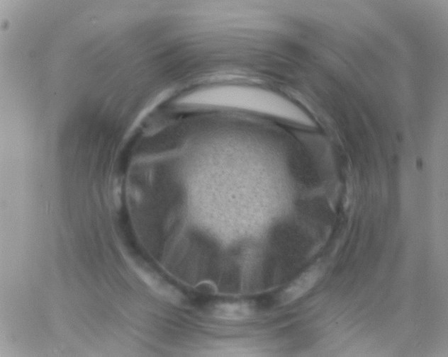 X0000065980160200603172124