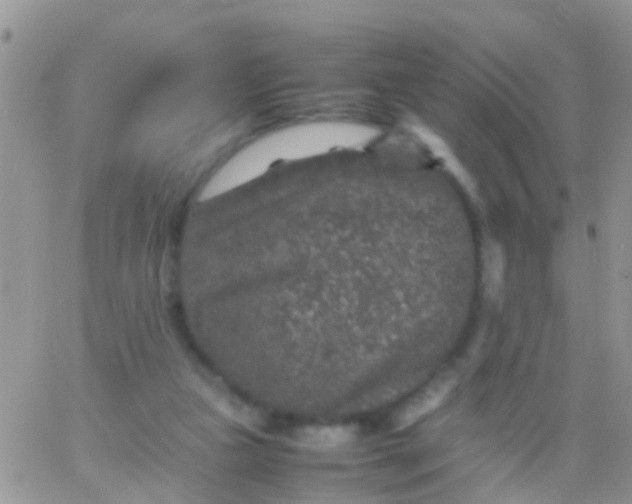 X0000065980161200603172124