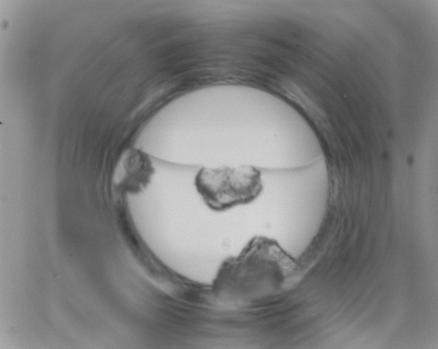 X0000065980165200603172124