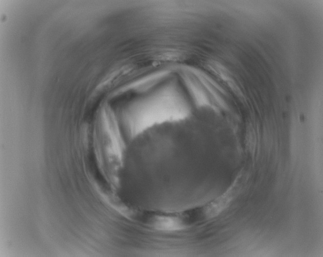 X0000065980167200603172124