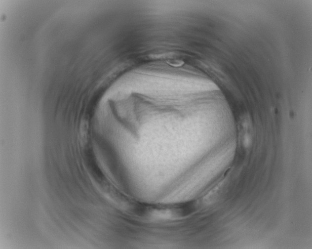 X0000065980171200603172124