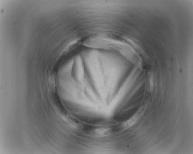 X0000065980172200603172124