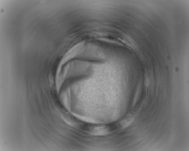 X0000065980173200603172124