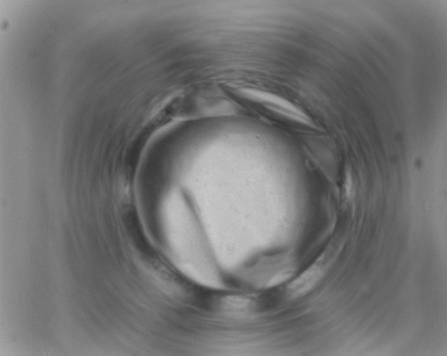 X0000065980176200603172124