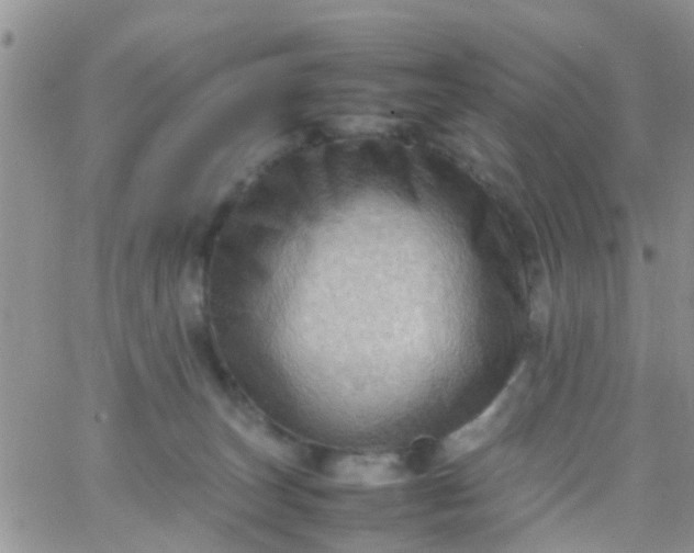 X0000065980179200603172124