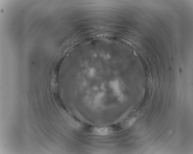 X0000065980181200603172124