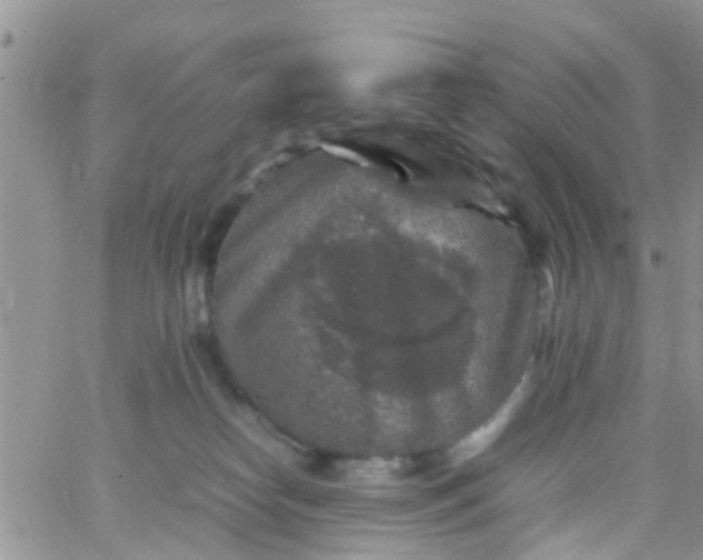 X0000065980182200603172124