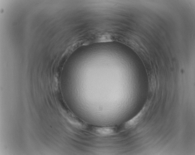 X0000065980183200603172124