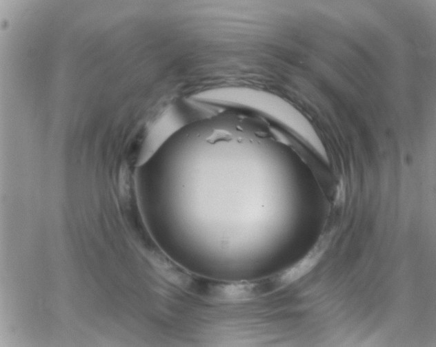 X0000065980184200603172124