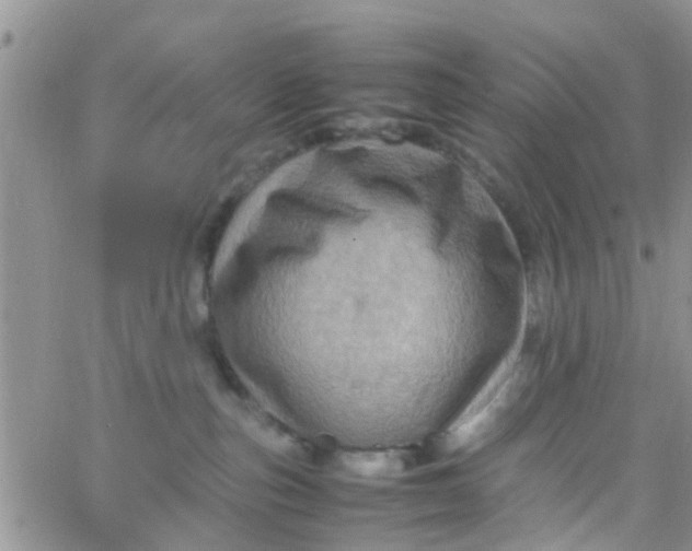 X0000065980187200603172124