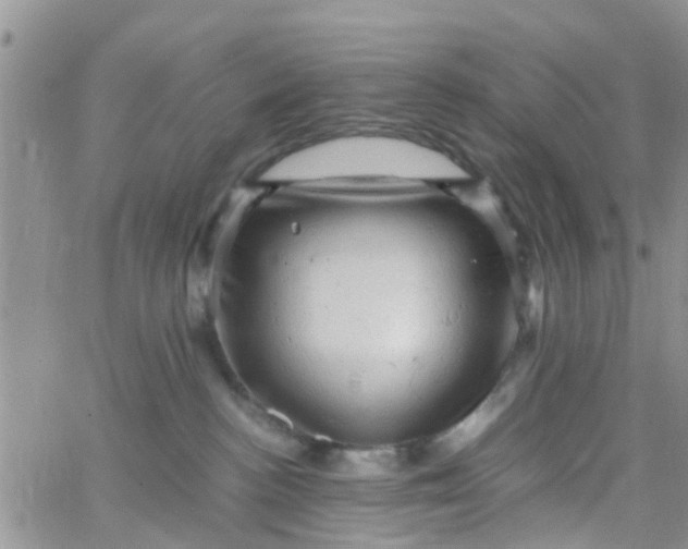 X0000065980188200603172124