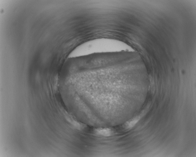 X0000065980189200603172124