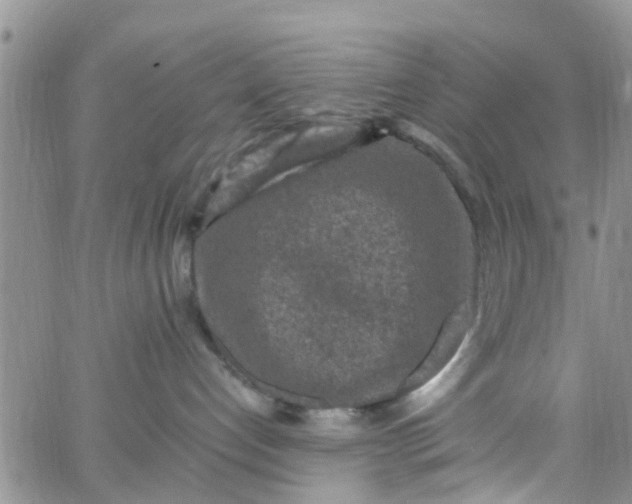 X0000065980192200603172124