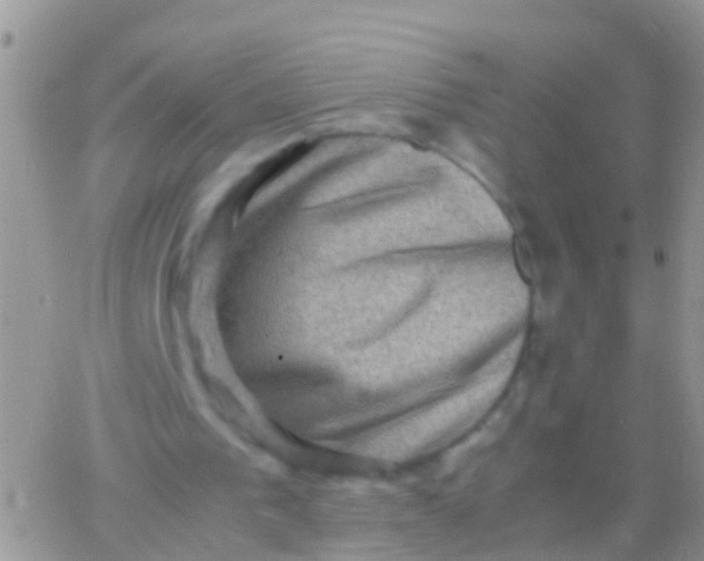 X0000065980193200603172124