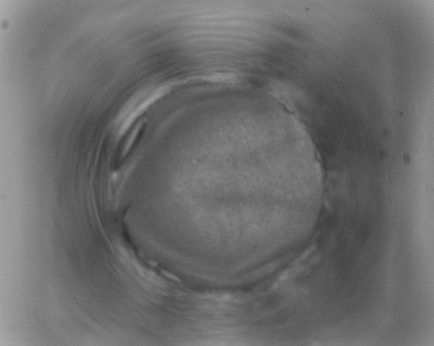 X0000065980194200603172124