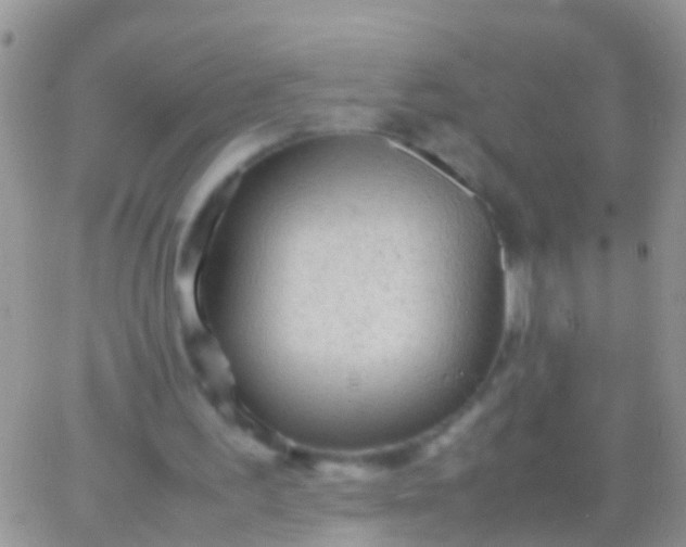 X0000065980195200603172124