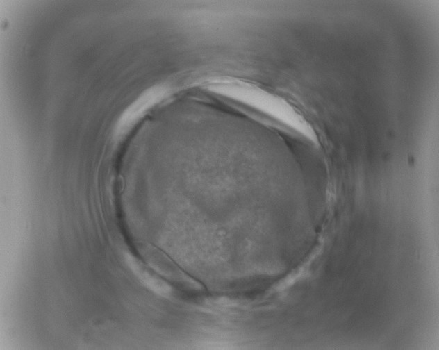 X0000065980197200603172124