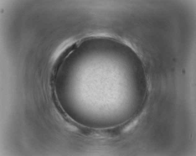 X0000065980199200603172123