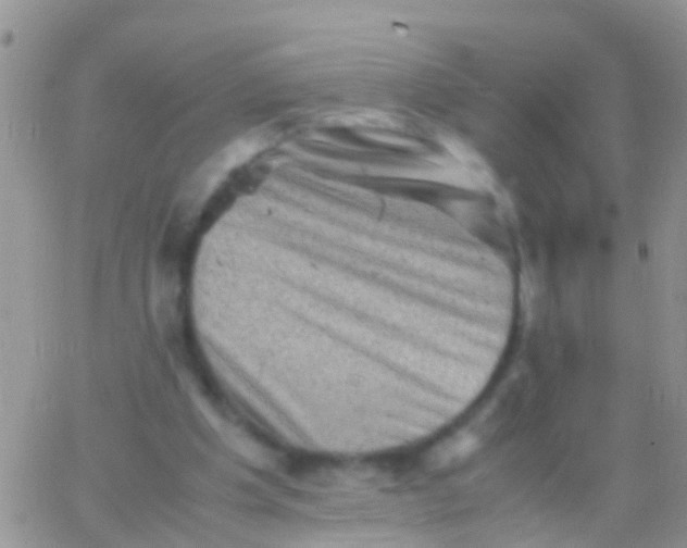 X0000065980201200603172123