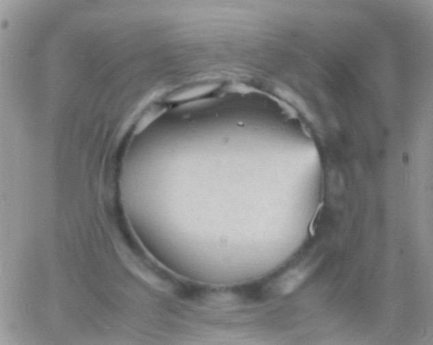 X0000065980203200603172123