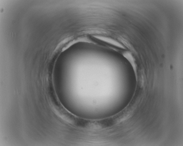 X0000065980207200603172123