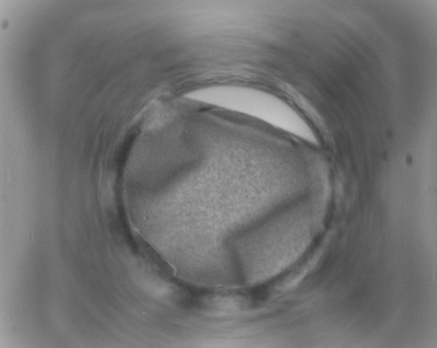 X0000065980209200603172123