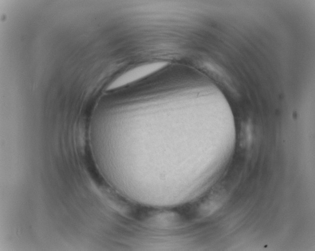 X0000065980210200603172123