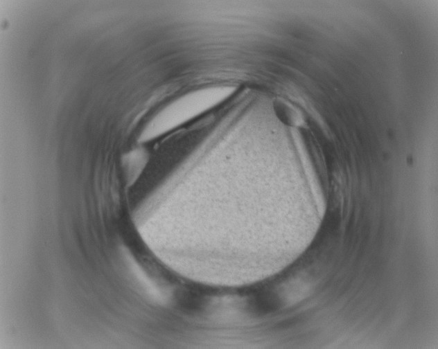 X0000065980212200603172123