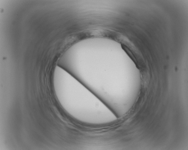 X0000065980213200603172123