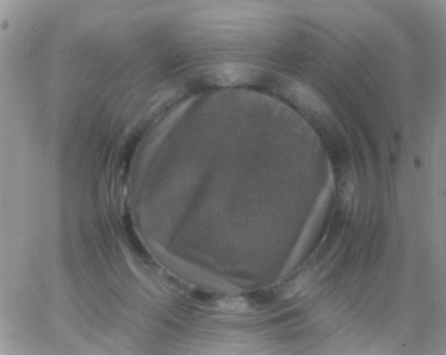 X0000065980214200603172123