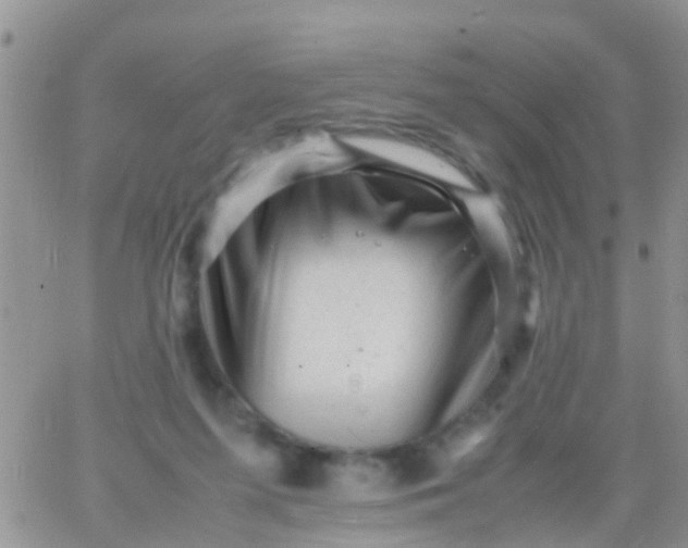 X0000065980215200603172123