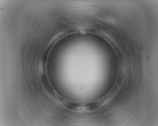 X0000065980216200603172123