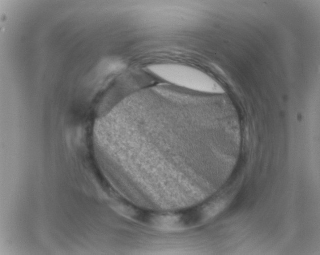 X0000065980217200603172123