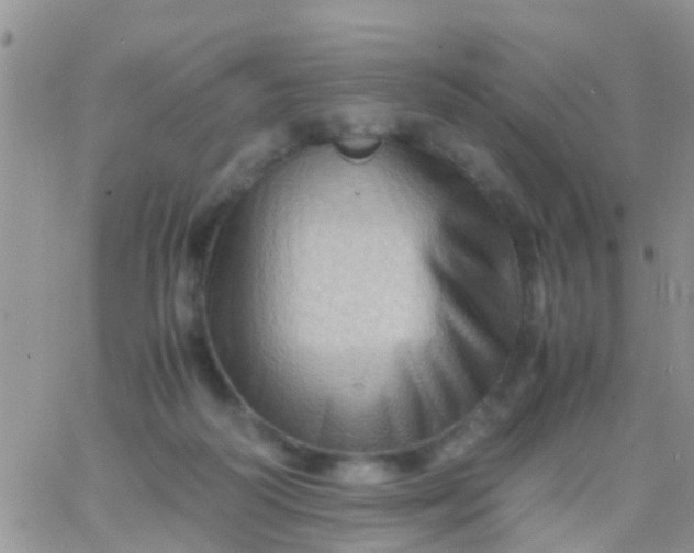 X0000065980218200603172123