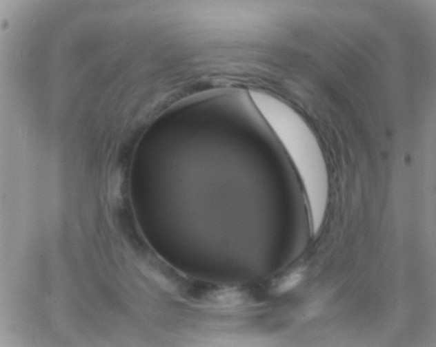 X0000065980219200603172123