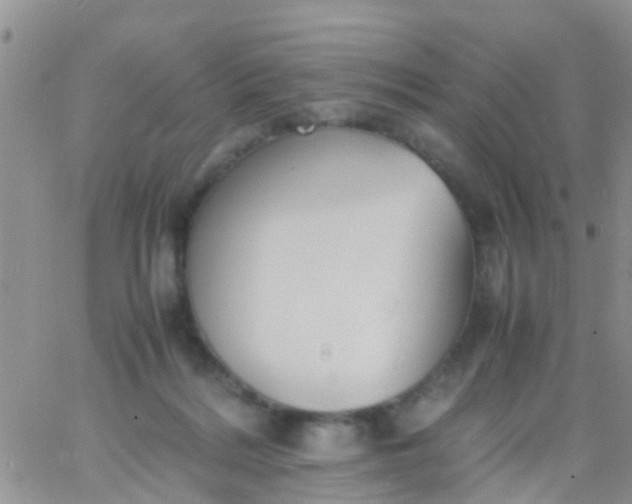 X0000065980220200603172123