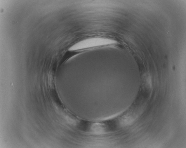 X0000065980222200603172123