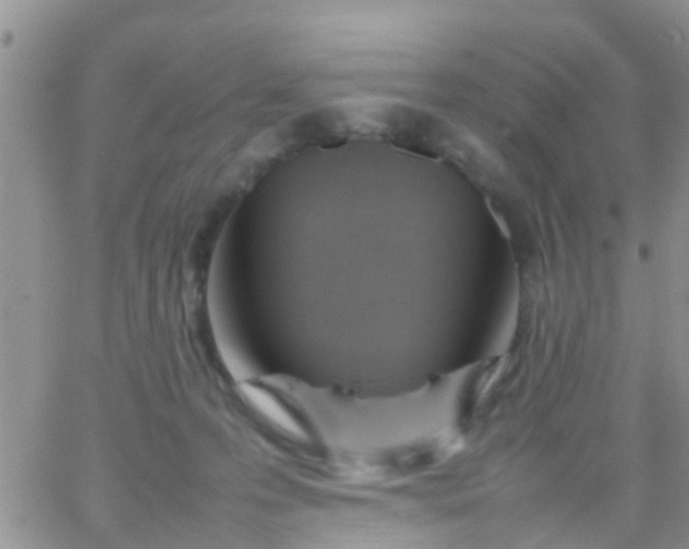 X0000065980223200603172123