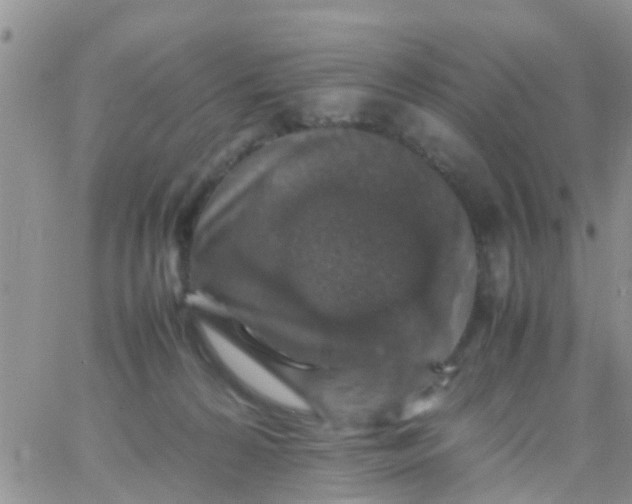 X0000065980224200603172123