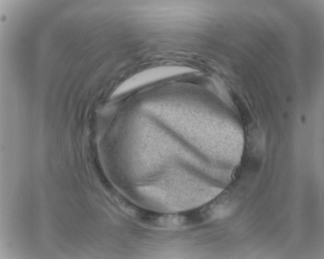 X0000065980225200603172123