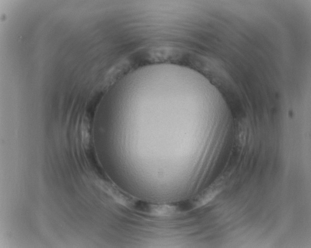 X0000065980226200603172123