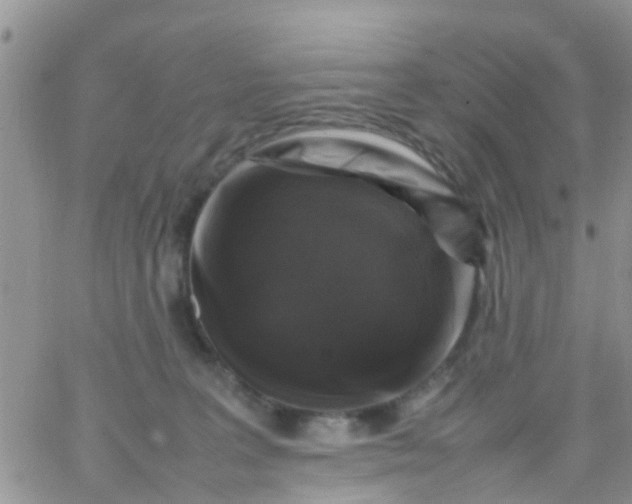 X0000065980227200603172123